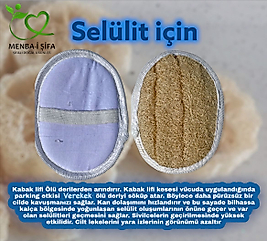 OVAL SELÜLİT KABAK LİFİ