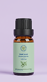 TIBBİ NANE (Mentha piperita)