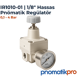 IR1010-01 | 1/8" Hassas Pnömatik Regülatör