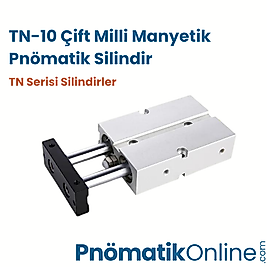 TN-10 Çift Milli Manyetik Pnömatik Silindir