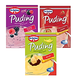Dr.Oetker Puding Muzlu 120 g Çilekli 80 g Orman Meyveli 81 g 3 lü Set