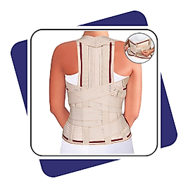 Case-HB5248 Dorse Lomber Korse
