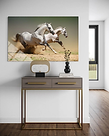 İkili Beyaz At Cam Tablo