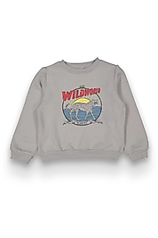 Erkek Çocuk Wıldworld Baskılı Sweat Gri