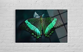 Kelebek Cam Tablo