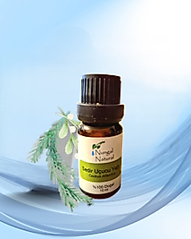 Sedir Uçucu Yağı 10 ml