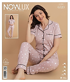 noya 6529