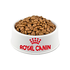 Royal Canin Açık Kısırlaştırılmış Kedi Maması 500Gr