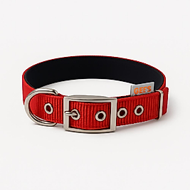 GEE’S™ Kemer Tokalı Boyun Tasması 40 cm