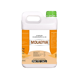 MOLAEYVA