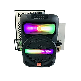 ms-2066 BT SES SPEAKER