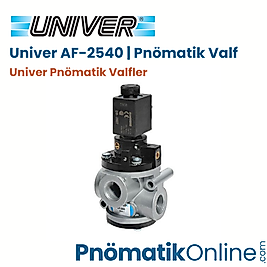 AF-2540 Univer Pnömatik Valf