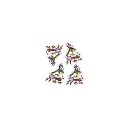Gülsün Ülkü 17*25 G-44