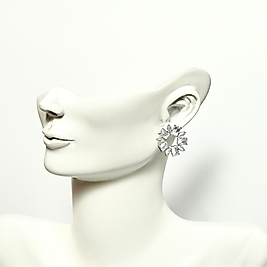 Gümüş Renk Göksel Yörünge Küpeleri