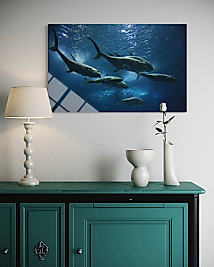 Balıklı  Cam Tablo