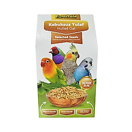 EuroGold Kabuksuz Yulaf Tohumu Kuş Yemi 150 g