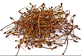 Fırsat Kapısı KİRAZ SAPI 150 GR