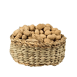 Fıstık Kabuklu Kavrulmuş