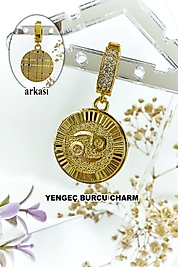 Yengeç Burcu Zirkon Taşlı Çelik Charm