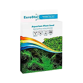 EuroStar Bitki Tohumu Hemianthus Callitrichoides