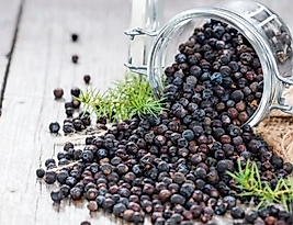 Fırsat Kapısı ARDIÇ TOHUMU 150 GR