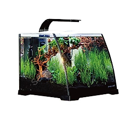 Anubias Ruby 30 Nano Akvaryum Siyah 30 x 29,8 x 25,7 Cm