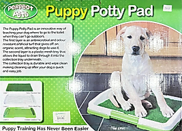 Köpek Tuvaleti