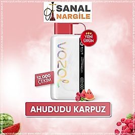 Vozol 12000 Puff Raspberry Watermelon