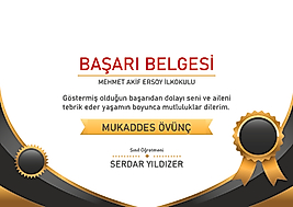 BAŞARI BELGESİ