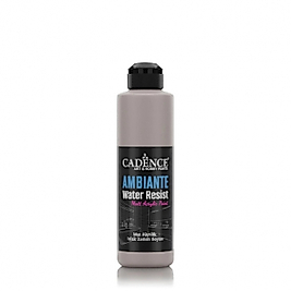 AW19 Vizon Gri Ambiante Islak Zemin Boyası 250ML + Katalizör 10GR