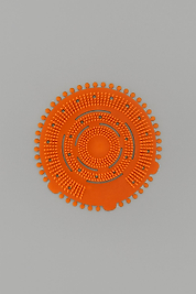 Pisuvar kokusu (Mango)