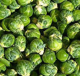 BÜRÜKSEL LAHANASI (500 gr)