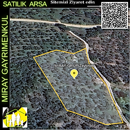 1003- SATILIK ARSA ZEYTİNLİK  BALIKESIR- ERDEK HAMAMLI MAHALLESI - 2 319 m²  - ADA 187 / PARSEL 3 – FIYAT 2 350 000 TL-