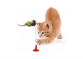 Vantuzlu Fare Kedi Oyuncağı