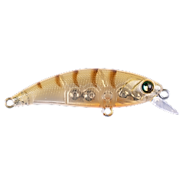 Hanfish Zıpır SPK-12 Teke