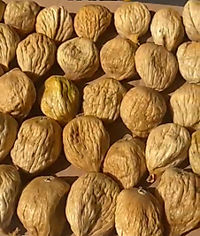 1 kg Duble Dal kurusu incir