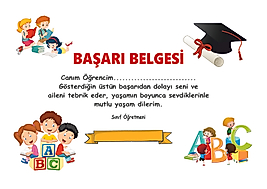 BAŞARI BELGESİ