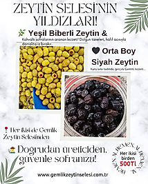 Her ikisi birden Yeşil Zeytin & Ortaboy siyah zeytin