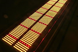 BESTVA CF650 Bitki Yetiştirme Lambası – Full Spectrum LED Grow Light | Bitki Yetiştirme Ledi