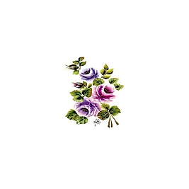 Gülsün Ülkü 17*25 G-14