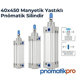 40x450 Pnömatik Piston / Silindir