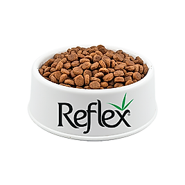 Reflex Somonlu Kısırlaştırılmış Açık Yetişkin Kedi Maması