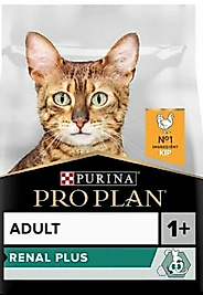 Pro plan