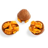 ONLY-0003 PRAL CEVİZ SÜTLÜ 2,5 KG