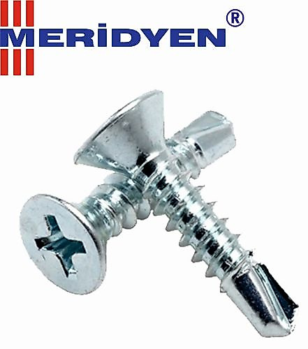 MERİDYEN MATKAP UÇLU VİDA AKILLI VİDA 4,8 X 70 MM ( 25 ADET )