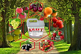 KRAFFT SÜPER  ORGANOMİNERAL GÜBRE 5 LT