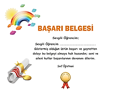 BAŞARI BELGESİ