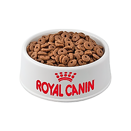 Açık Royal Canin Regular Fit 32 Açık Yetişkin Kedi Maması