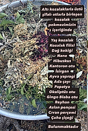 Sade Kozalak - 330 cc