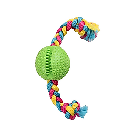 Eastland İpli Plastik Rugby Topu Köpek Oyuncağı 6,5 cm